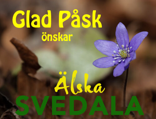 Glad Påsk!