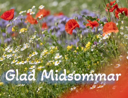 Glad Midsommar